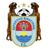 logo Binacional